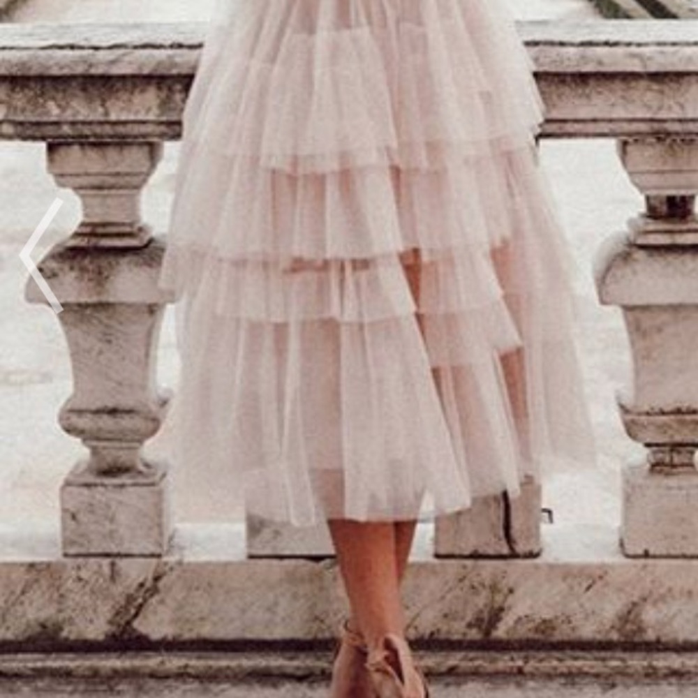 Tulle skirt -Brand new!